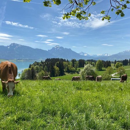 Best Butler Boho Boutique City Apartment Netflix Füssen Eksteriør bilde