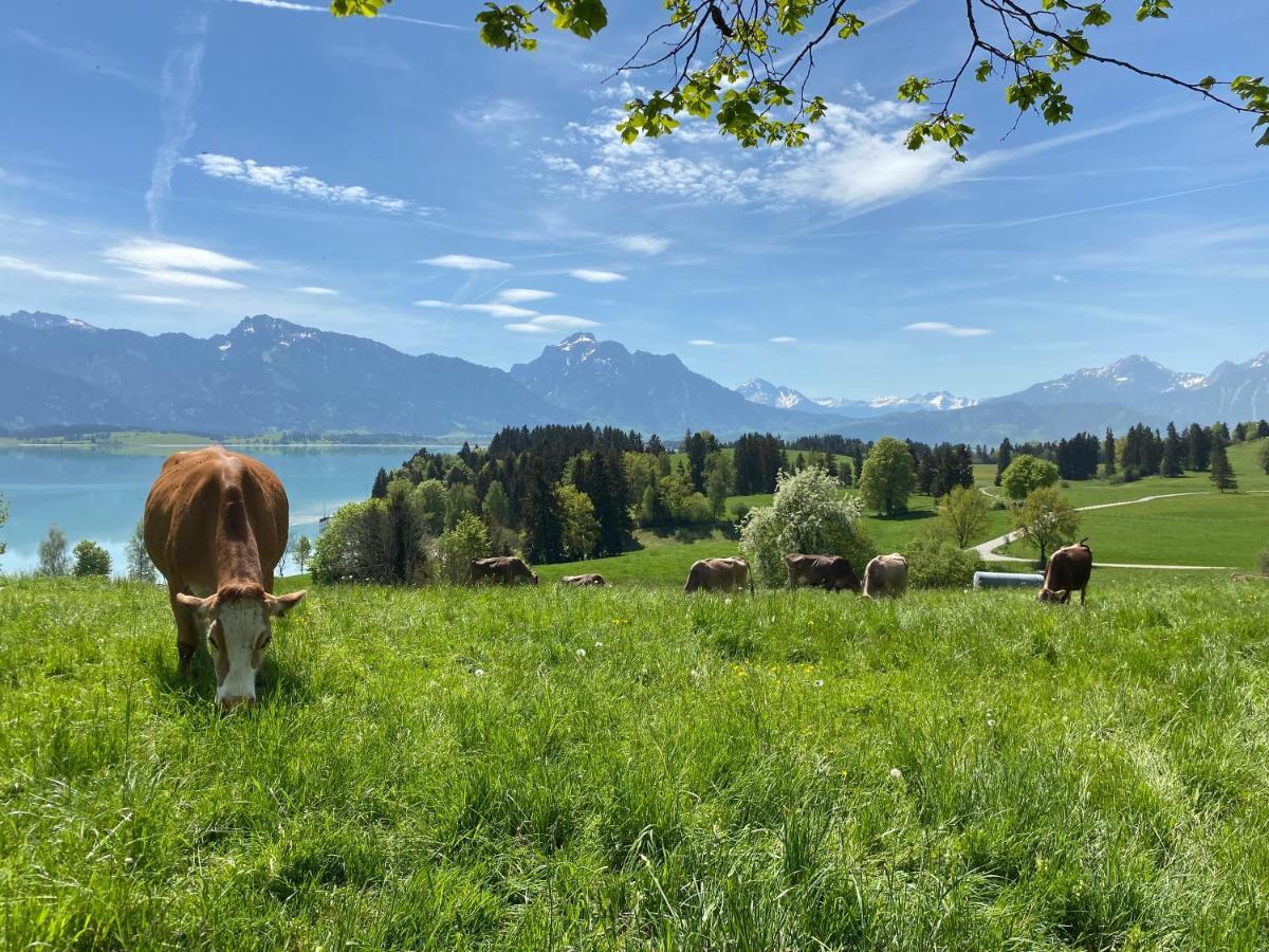 Best Butler Boho Boutique City Apartment Netflix Füssen Eksteriør bilde